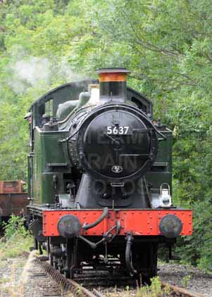 Purchase photo of 5637 0-6-2T at East Somerset Railway